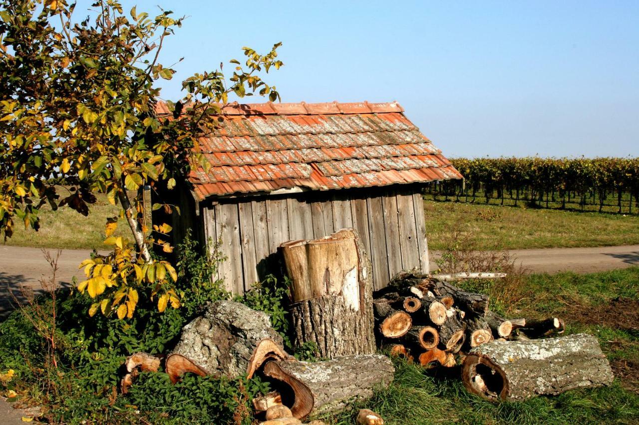Weingut Breitenfelder Retz Exterior foto
